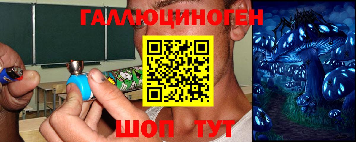 Галлюциногенные грибы MAGIC MUSHROOMS  Вход с VPN  что такое   Борзя 